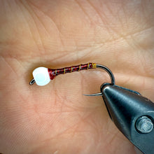 Load image into Gallery viewer, Limited Edition Lahontan Midge- 5 Pack