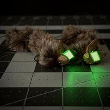 Load image into Gallery viewer, Trap Rat Fly