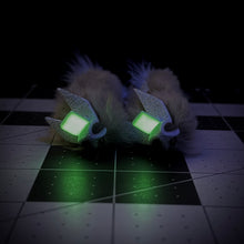 Load image into Gallery viewer, Trap Rat Fly- 2 Pack