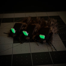 Load image into Gallery viewer, Trap Mouse - Medium- 3 Pack