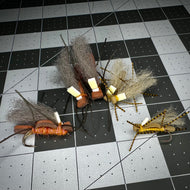 Stonefly Chubby- Glow- 3 Pack