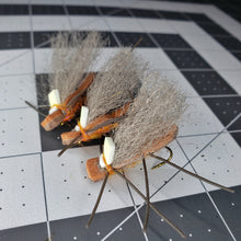 Load image into Gallery viewer, Stonefly Chubby- Glow- 3 Pack