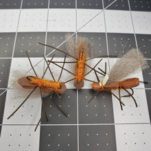 Load image into Gallery viewer, Stonefly Chubby- Glow- 3 Pack