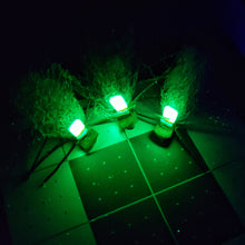 Load image into Gallery viewer, Stonefly Chubby- Glow- 3 Pack